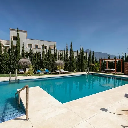 Golden Banus Delight Rdr519 *